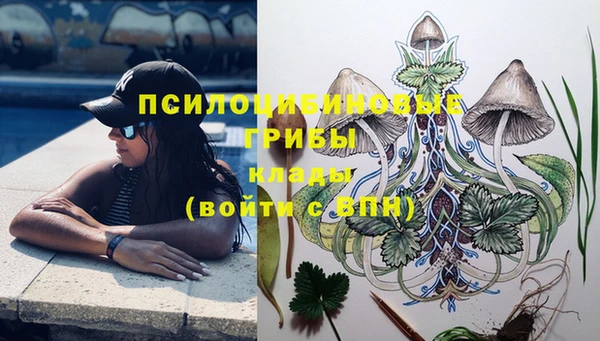 героин Алзамай