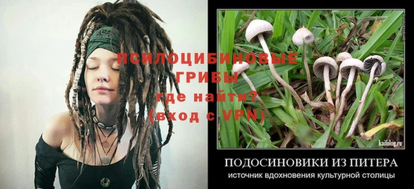 эйфоретик Алексин