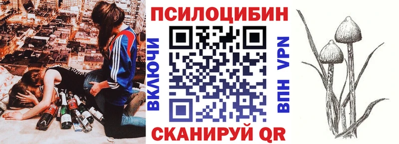 Псилоцибиновые грибы Magic Shrooms  цены   OMG ссылки  Куйбышев 